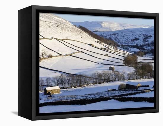 Stone Barns in a Winter Landscape, Swaledale, Yorkshire Dales National Park, North Yorkshire, Engla-Peter Richardson-Framed Premier Image Canvas