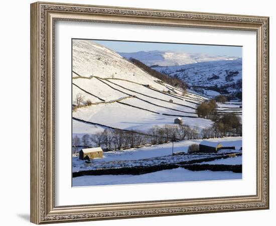 Stone Barns in a Winter Landscape, Swaledale, Yorkshire Dales National Park, North Yorkshire, Engla-Peter Richardson-Framed Photographic Print