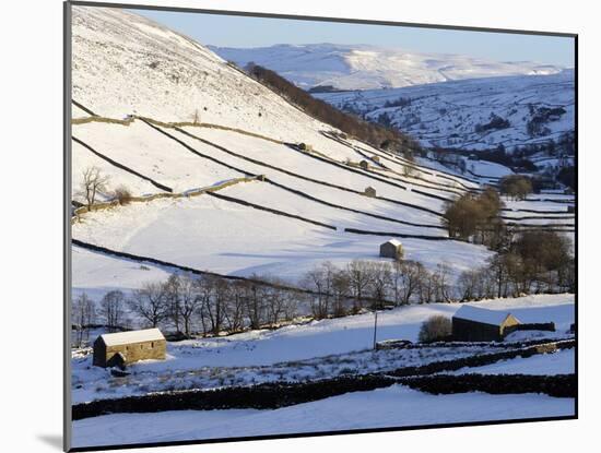 Stone Barns in a Winter Landscape, Swaledale, Yorkshire Dales National Park, North Yorkshire, Engla-Peter Richardson-Mounted Photographic Print