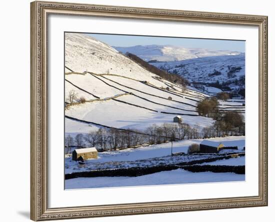 Stone Barns in a Winter Landscape, Swaledale, Yorkshire Dales National Park, North Yorkshire, Engla-Peter Richardson-Framed Photographic Print