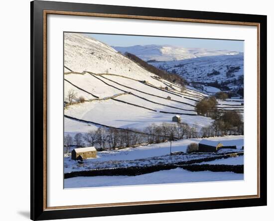 Stone Barns in a Winter Landscape, Swaledale, Yorkshire Dales National Park, North Yorkshire, Engla-Peter Richardson-Framed Photographic Print