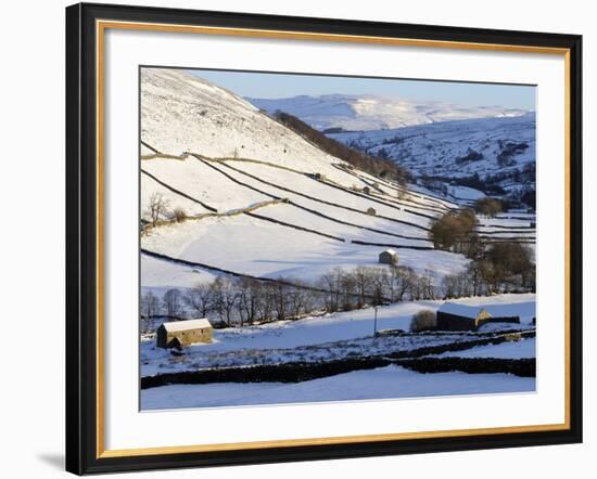 Stone Barns in a Winter Landscape, Swaledale, Yorkshire Dales National Park, North Yorkshire, Engla-Peter Richardson-Framed Photographic Print