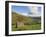 Stone Barns in Swaledale, Near Keld, Yorkshire Dales National Park, Yorkshire, England, UK-Neale Clarke-Framed Photographic Print