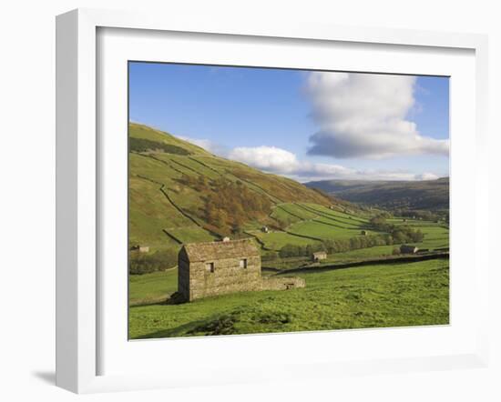 Stone Barns in Swaledale, Near Keld, Yorkshire Dales National Park, Yorkshire, England, UK-Neale Clarke-Framed Photographic Print