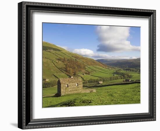 Stone Barns in Swaledale, Near Keld, Yorkshire Dales National Park, Yorkshire, England, UK-Neale Clarke-Framed Photographic Print