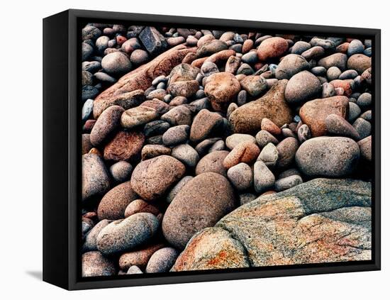 Stone beach along Park Loop Road, Acadia National Park, Maine, USA-null-Framed Premier Image Canvas