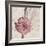 Stone Blossom I-Jason Johnson-Framed Photographic Print