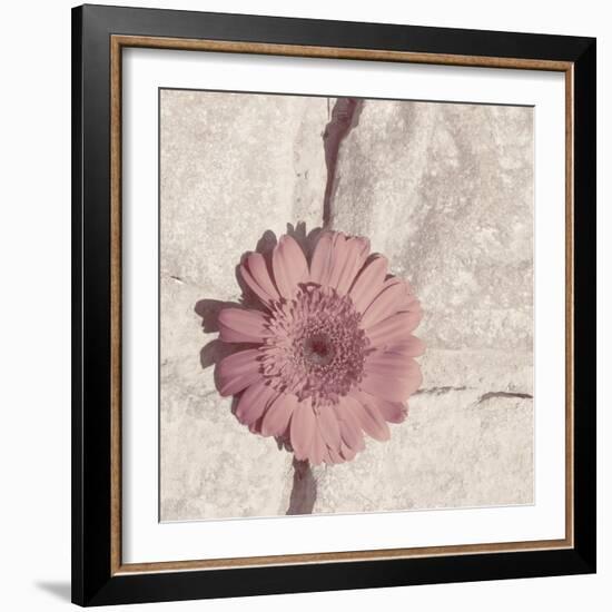 Stone Blossom I-Jason Johnson-Framed Photographic Print