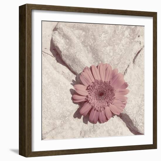 Stone Blossom II-Jason Johnson-Framed Photographic Print