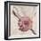 Stone Blossom II-Jason Johnson-Framed Photographic Print