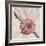 Stone Blossom II-Jason Johnson-Framed Photographic Print