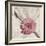 Stone Blossom II-Jason Johnson-Framed Photographic Print