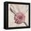 Stone Blossom II-Jason Johnson-Framed Premier Image Canvas