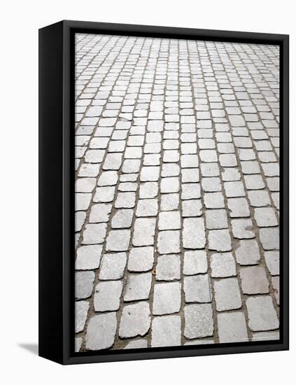 Stone Bricks, Paris, France-Michele Molinari-Framed Premier Image Canvas