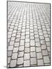 Stone Bricks, Paris, France-Michele Molinari-Mounted Photographic Print