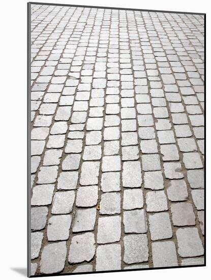 Stone Bricks, Paris, France-Michele Molinari-Mounted Photographic Print