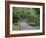 Stone Bridge and Pathway in Japanese Garden, Seattle, Washington, USA-null-Framed Photographic Print