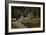 Stone Bridge in Autumn-Jai Johnson-Framed Giclee Print