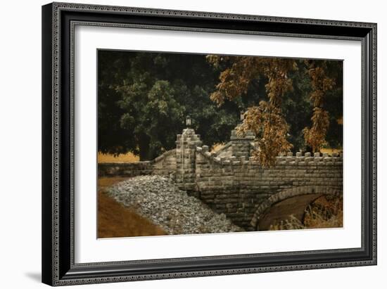 Stone Bridge in Autumn-Jai Johnson-Framed Giclee Print