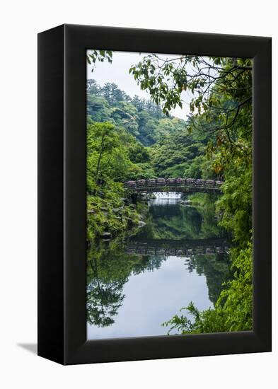 Stone Bridge with Flowers in Seogwipo, Island of Jejudo, South Korea-Michael Runkel-Framed Premier Image Canvas