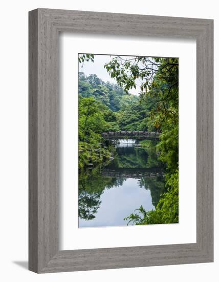 Stone Bridge with Flowers in Seogwipo, Island of Jejudo, South Korea-Michael Runkel-Framed Photographic Print