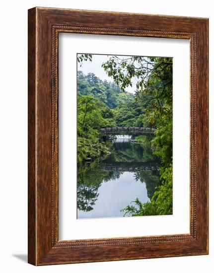 Stone Bridge with Flowers in Seogwipo, Island of Jejudo, South Korea-Michael Runkel-Framed Photographic Print