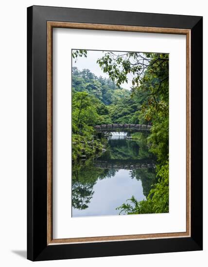 Stone Bridge with Flowers in Seogwipo, Island of Jejudo, South Korea-Michael Runkel-Framed Photographic Print