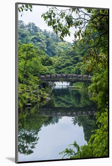 Stone Bridge with Flowers in Seogwipo, Island of Jejudo, South Korea-Michael Runkel-Mounted Photographic Print