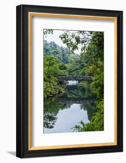 Stone Bridge with Flowers in Seogwipo, Island of Jejudo, South Korea-Michael Runkel-Framed Photographic Print