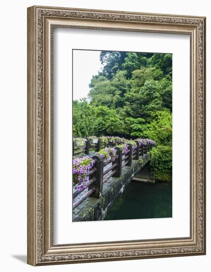 Stone Bridge with Flowers in Seogwipo-Michael-Framed Photographic Print