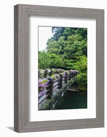 Stone Bridge with Flowers in Seogwipo-Michael-Framed Photographic Print