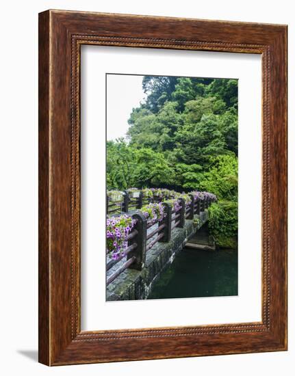 Stone Bridge with Flowers in Seogwipo-Michael-Framed Photographic Print