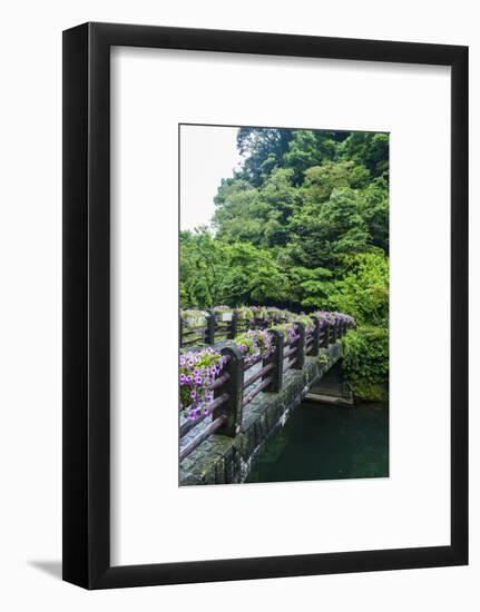 Stone Bridge with Flowers in Seogwipo-Michael-Framed Photographic Print