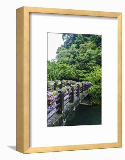 Stone Bridge with Flowers in Seogwipo-Michael-Framed Photographic Print