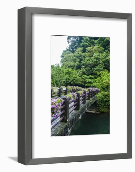 Stone Bridge with Flowers in Seogwipo-Michael-Framed Photographic Print