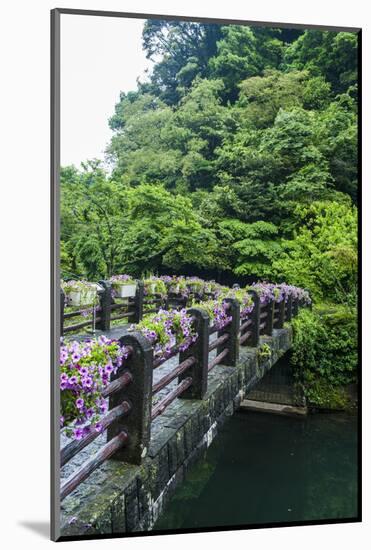 Stone Bridge with Flowers in Seogwipo-Michael-Mounted Photographic Print