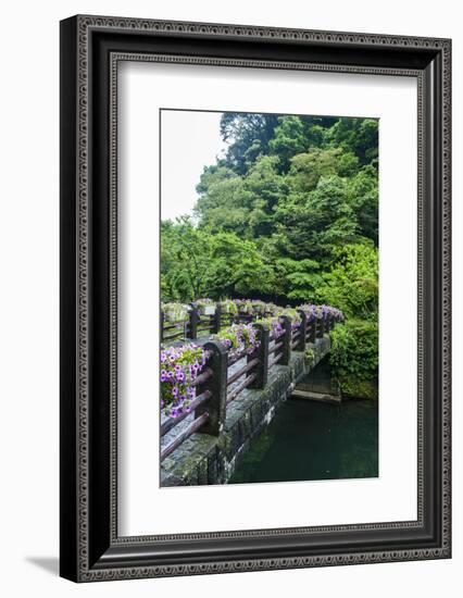 Stone Bridge with Flowers in Seogwipo-Michael-Framed Photographic Print