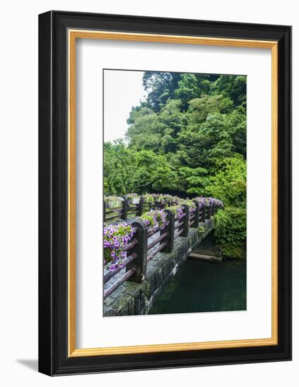 Stone Bridge with Flowers in Seogwipo-Michael-Framed Photographic Print