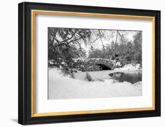 Stone Bridge-Tim Oldford-Framed Photographic Print