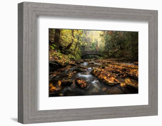 Stone Bridge-Danny Head-Framed Photographic Print