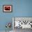 Stone Carving Detail, Red Fort, Delhi, India, Asia-Laura Grier-Framed Photographic Print displayed on a wall