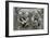 Stone carving on the side of a house in Bruges-Unknown-Framed Giclee Print