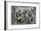 Stone carving on the side of a house in Bruges-Unknown-Framed Giclee Print