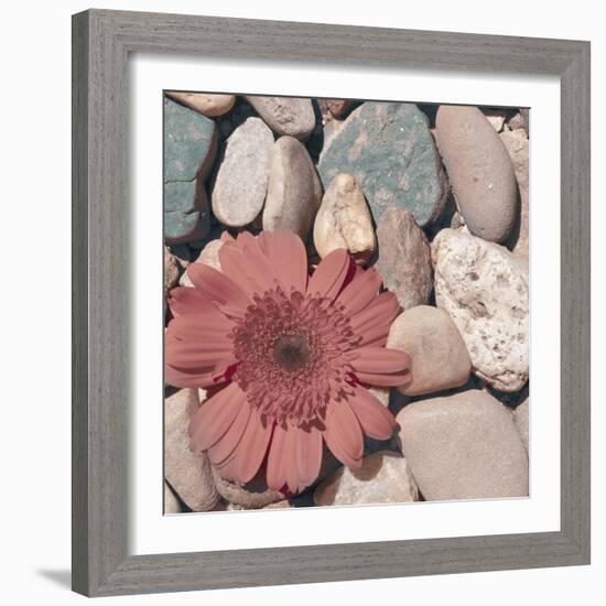 Stone Crop I-Jason Johnson-Framed Photographic Print