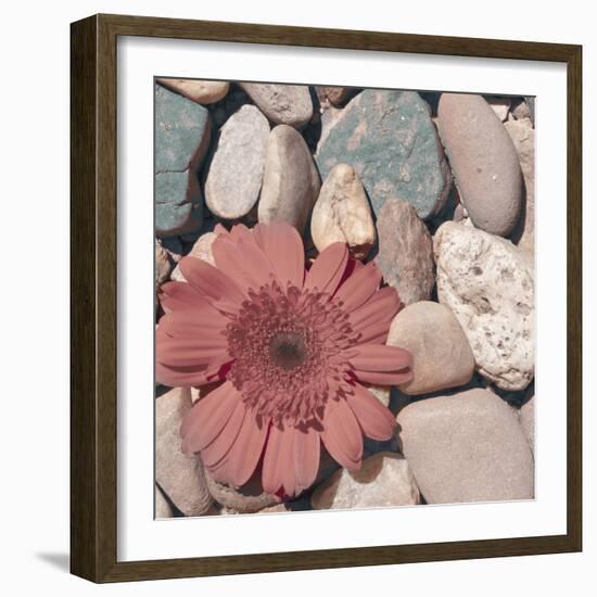 Stone Crop I-Jason Johnson-Framed Photographic Print