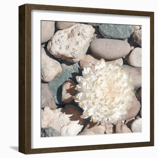 Stone Crop II-Jason Johnson-Framed Photographic Print