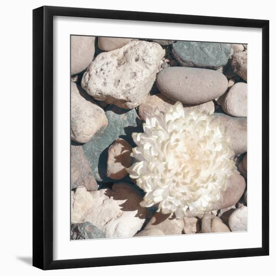 Stone Crop II-Jason Johnson-Framed Photographic Print