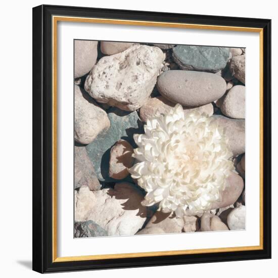 Stone Crop II-Jason Johnson-Framed Photographic Print