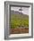 Stone Cross Marking the Grand Cru Vineyards, Romanee Conti and Richebourg, Vosne, Bourgogne, France-Per Karlsson-Framed Photographic Print