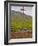 Stone Cross Marking the Grand Cru Vineyards, Romanee Conti and Richebourg, Vosne, Bourgogne, France-Per Karlsson-Framed Photographic Print